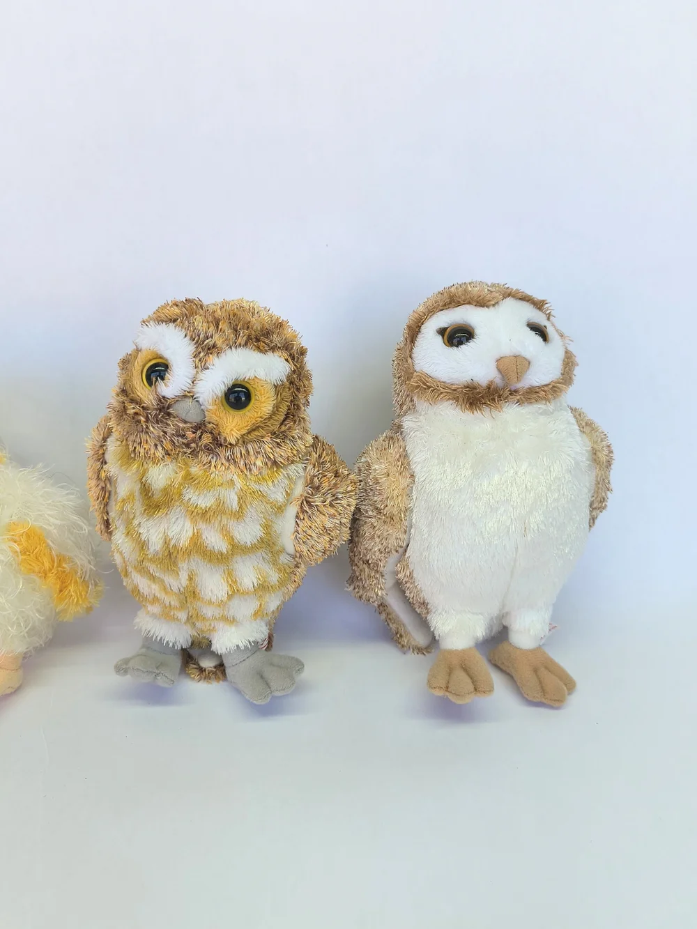 LEGEND OF THE GUARDIANS Owls of Ga'Hoole Soren Eglantine Gylfie Digger Plush TY